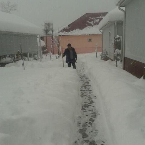 Gabala Homes Musa Bagian luar foto