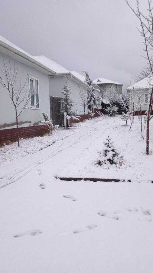 Gabala Homes Musa Bagian luar foto